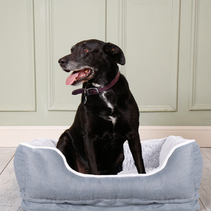 Orthopedic Dog Bed Small - Grey by Dreampaws