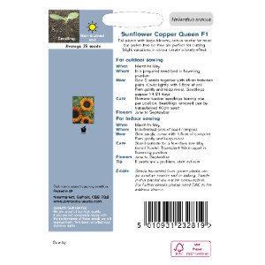 Pack of Copper Queen F1 Sunflower Seeds by Johnsons