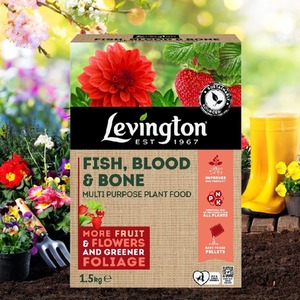 Levington Fish Blood and Bone Plant Food - Brown by Levington