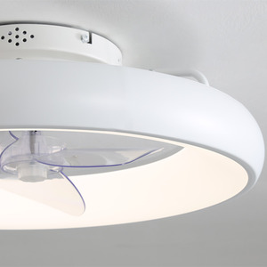 Ceiling Fan Light with Round Acrylic LED Ring - White by Livingandhome
