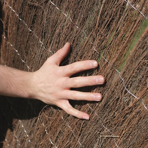 Brushwood Thatch Screen Roll by Garden Gear