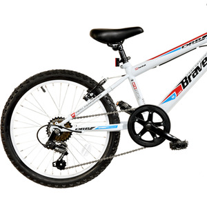 Dallingridge Brave Junior Hardtail Mountain Bike, 20In Wheel - Gloss White/Red by Dallingridge