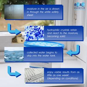 Harbour Housewares Interior Dehumidifiers - 500ml - Ocean - Pack of 100 - Ocean by Harbour Housewares