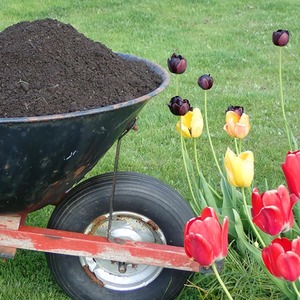 Bulk Dumpy Bag Vegetable Top Soil - Brown by Warma