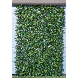 Expanding Laurus Screen - 4.4kg by My Garden