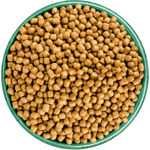 James Wellbeloved Hairball Turkey Adult Cat Food - Brown by James Wellbeloved