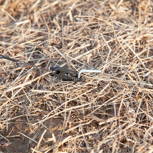 Outsunny Camping Windbreak with Carry Bag - Blue by Outsunny