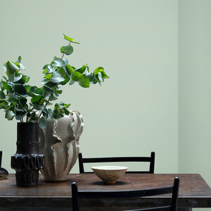 Craig and Rose Chalky Matt Emulsion by Craig & Rose