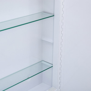 Bathroom 2-Door Mirror Cabinet with Lights - White by Livingandhome