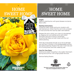 Happy New Home Rose Bush - Yellow by Gardeners Dream