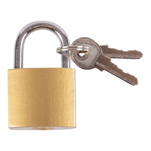 Iron Padlock Brass by Blackspur