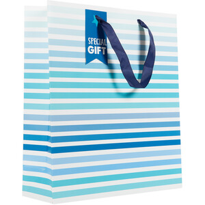 Pack of 5 Multi Sized Gift Bags - Blue