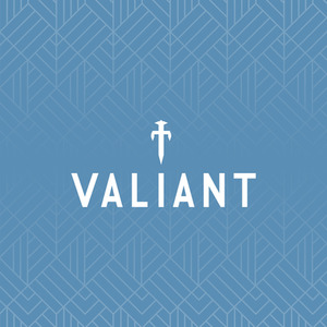 Portable Camping BBQ includes 2 x Mugs and Kettle by Valiant