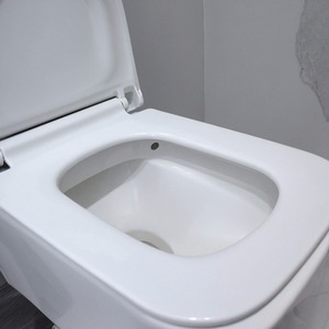 Rimless Wall Hung WC Toilet - Soft Close Seat Included - White by Fino Stone