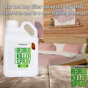 Bed Bug Killer With Pump Sprayer - Clear / 5l by Xterminate