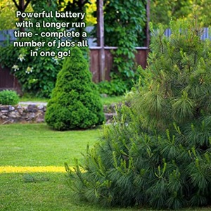 Mylek 2-in-1 Li-ion Cordless Hedge Trimmer and Grass Shears - Blue by Mylek