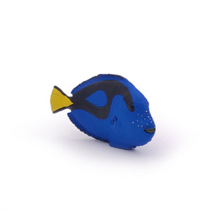 PAPO Marine Life Surgeonfish Toy Figure - Blue by PAPO