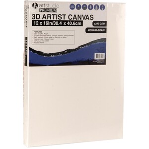 Art Studio 3D Artist Canvas by Art Studio
