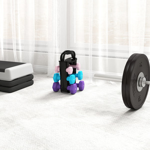 SPORTNOW Dumbbells Set with Carry Rack by SPORTNOW