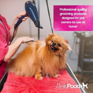 Gentle Touch Dog Shampoo and Deodorising Spray Baby Powder Fragrance - Clear by Pretty Pooch