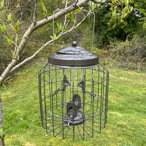 Heavy Duty Squirrel Proof Hanging Bird Seed Feeder - Grey by Selections