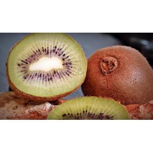 Actinidia Jenny Kiwi Self Fertile Fruit Climbing Plant 3-4ft 3L Pot - green by Direct Plants