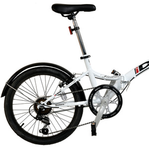 Dallingridge Freedom 20