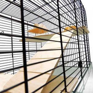 Small Animal Glass Cage Gerbilarium - The Savoy - Neutral by Little Friends