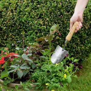 Kent & Stowe Stainless Steel Rust Resistant Hand Trowel - Silver by Kent & Stowe