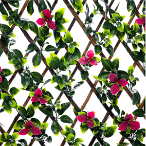 Expanding Wooden Trellis Privacy Screen - Green / Gardenia