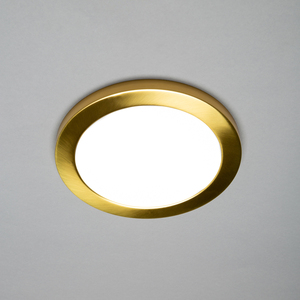 Darly LED 18 Watt Flush Ceiling or Wall Light - Satin Brass by Litecraft