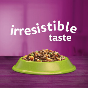 Whiskas Complete 1+ Dry Cat Food - Lamb by Whiskas