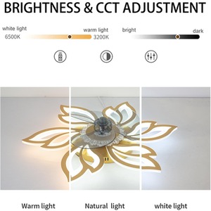 Petal-Shaped Ceiling Fan Light by Livingandhome