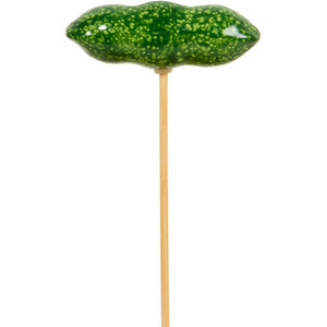 Fruit and Veg Garden Stakes