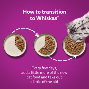 Whiskas 1+ Pouches in Jelly - Mixed Menu / 40 by Whiskas