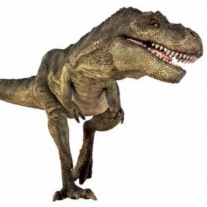 Dinosaur Torch and Projector - Dinosaurs by JBL Global