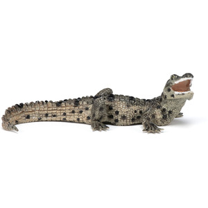 PAPO Wild Animal Kingdom Baby Crocodile Toy Figure - Black by PAPO