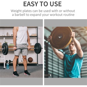 HOMCOM Weight Plates Grip Plate Sets - Silver / 2 by HOMCOM