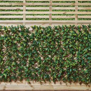Expanding Laurus Screen - 4.4kg by My Garden