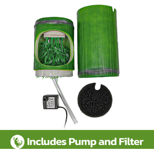 Swell Reptiles Bamboo Drinking Fountain - Green by Swell Reptiles