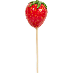 Fruit and Veg Garden Stakes