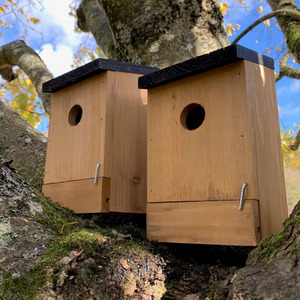 Traditional Wooden Bird Nest Box Birdhouses with Removable Bases by Selections