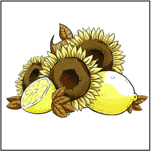 Spectrum Noir Classique 6 Pack - Sunny Yellows by Spectrum Noir