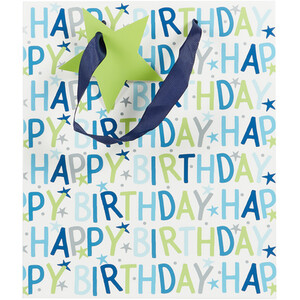 Pack of 4 Pink and Blue Birthday Medium Gift Bags - Pink and Blue