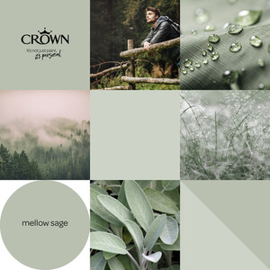 Crown Walls and Ceilings Mid Sheen Emulsion - Mellow Sage / 2.5l by Crown Paints