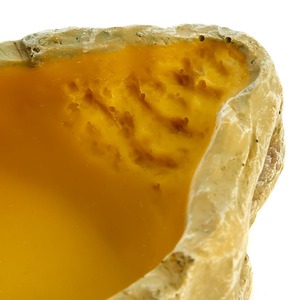 Swell Reptiles Water Dish - Yellow / 15cm by Swell Reptiles