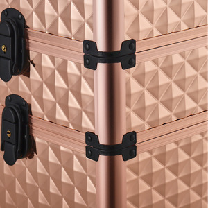 Professional Beauty Case on Wheels by Livingandhome