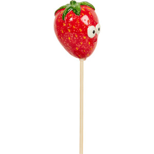 Fruit and Veg Garden Stakes