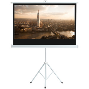 Portable Projector Screen with Metal Tripod Stand - White / 84 Inches by Livingandhome