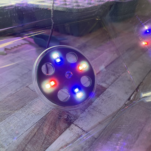 Plant Propagator Seed Tray Set with Full Spectrum USB Grow Lights - Green by Selections